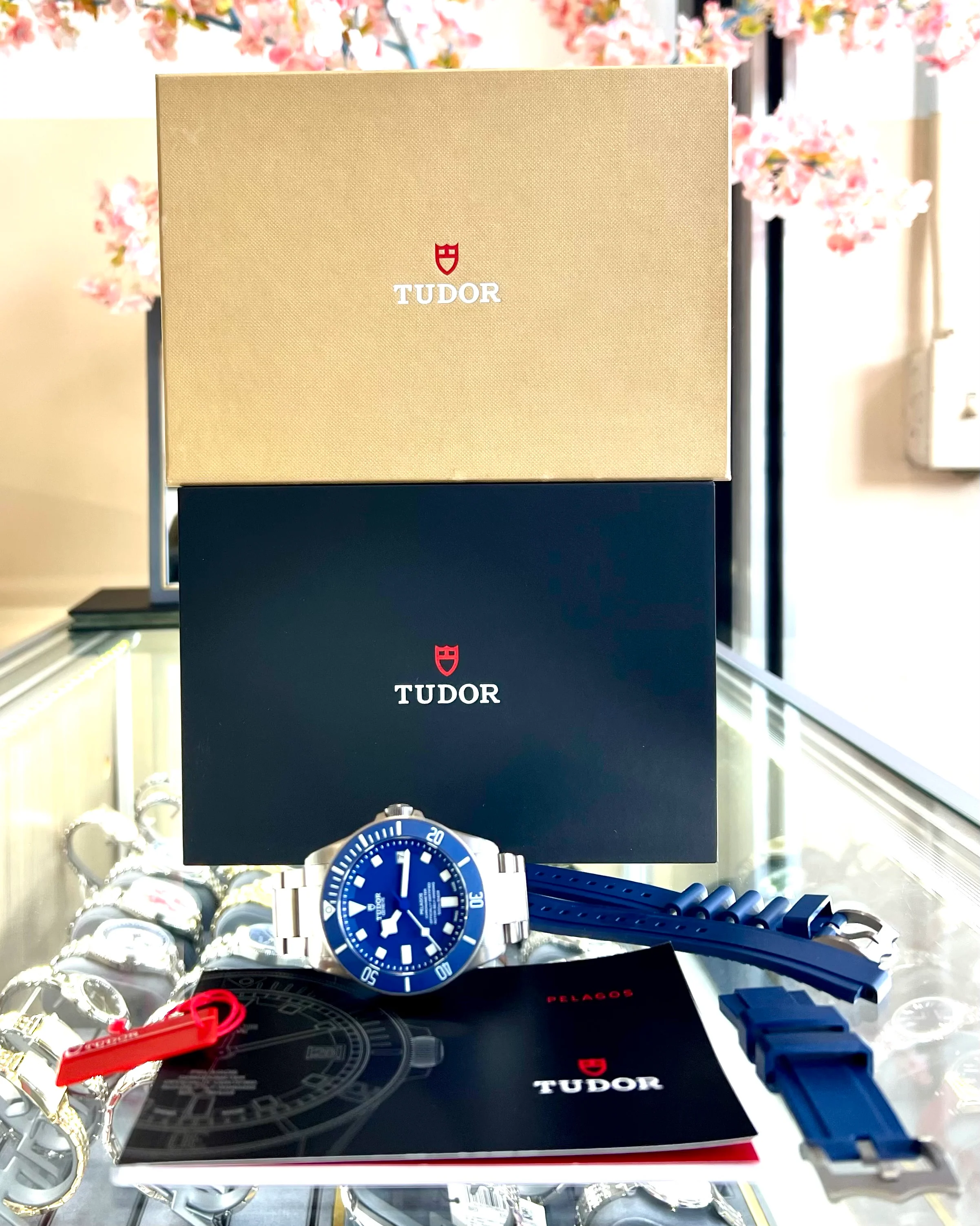 2022 Tudor Pelagos m25600tb 42mm - Image 7